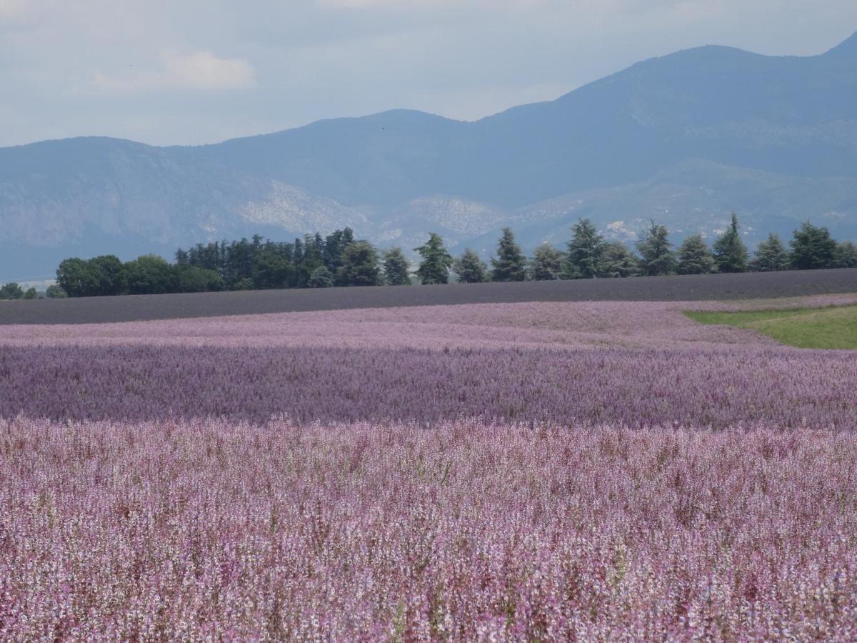 L Olivadou B&B Trans-en-Provence Dış mekan fotoğraf