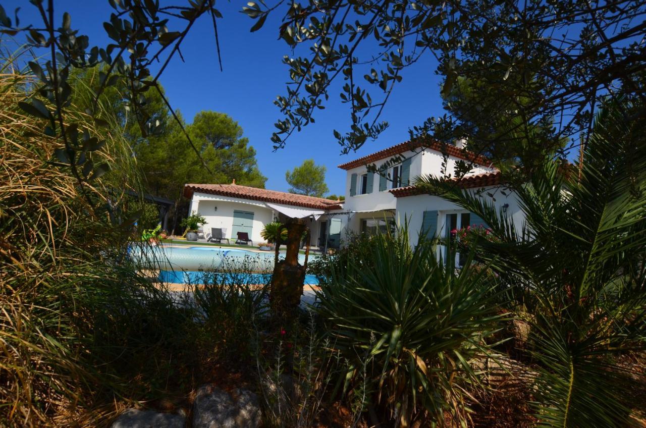 L Olivadou B&B Trans-en-Provence Dış mekan fotoğraf