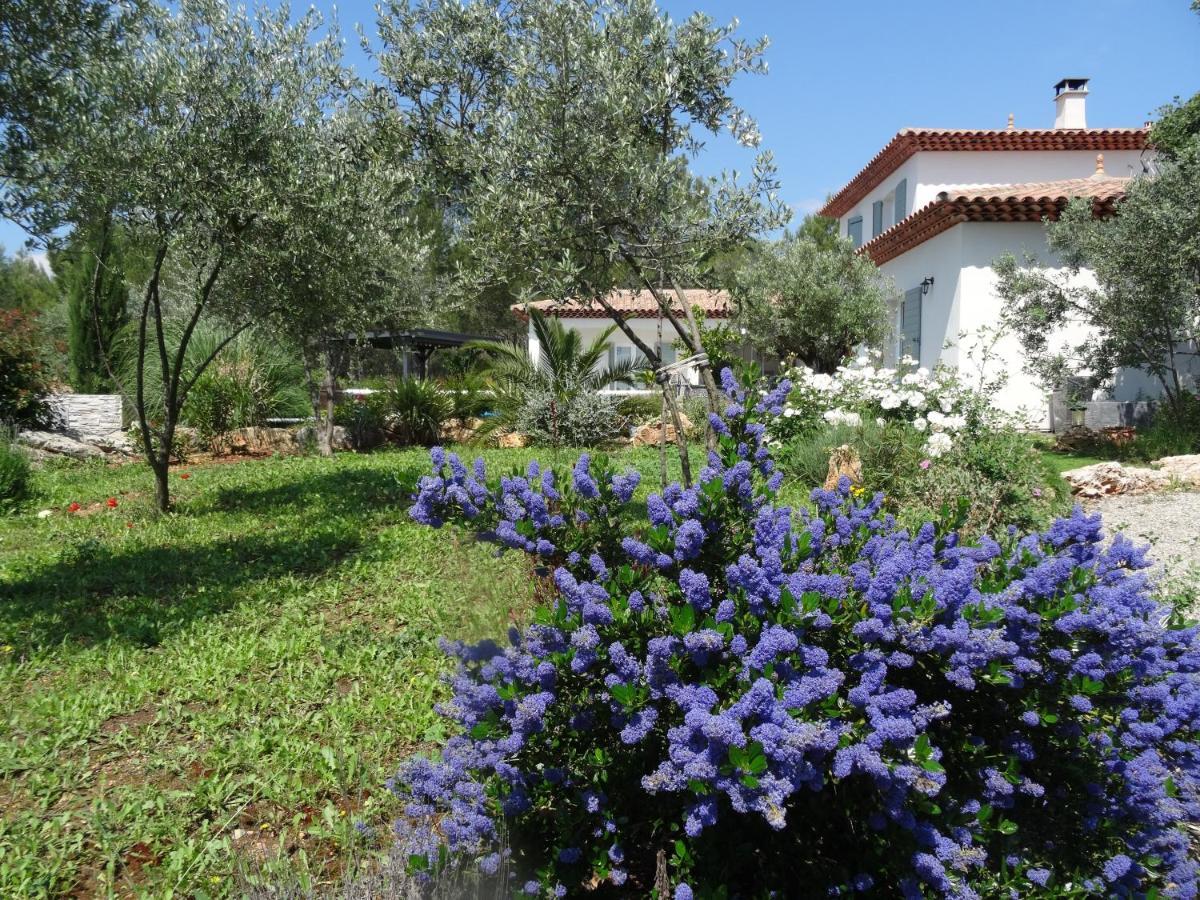 L Olivadou B&B Trans-en-Provence Dış mekan fotoğraf