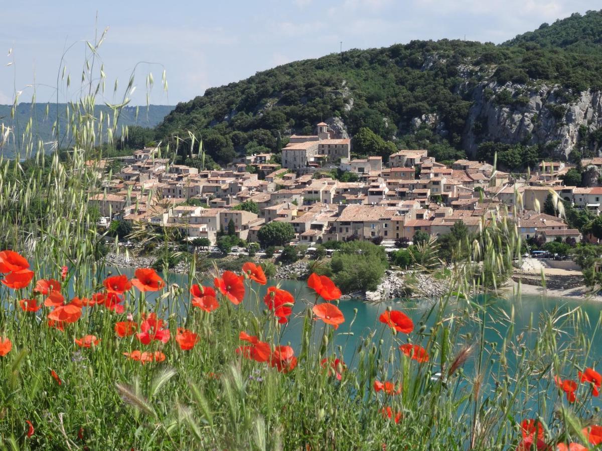 L Olivadou B&B Trans-en-Provence Dış mekan fotoğraf